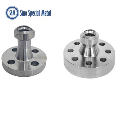 Monel K500 WeldoFlange